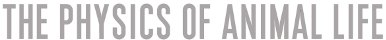 physics of animals tagline